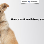 SubaruDogTested_Keys