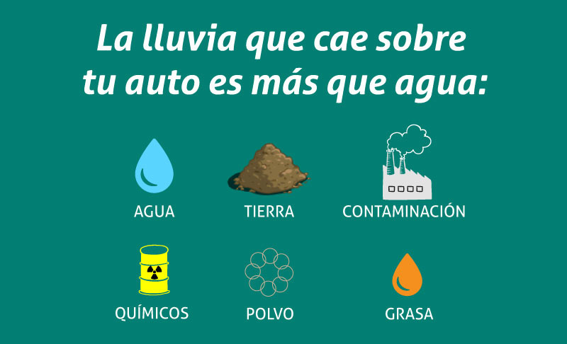 Lava tu auto incluso si llueve diario para proteger su pintura