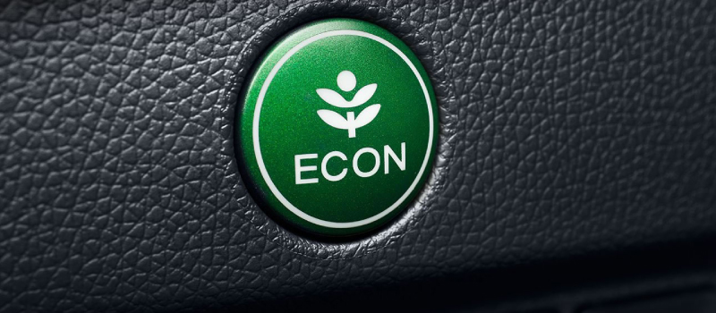 ECON Assist