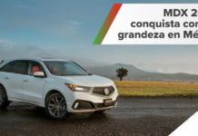 mdx 2019