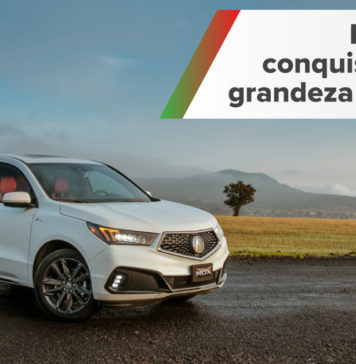 mdx 2019