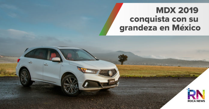 mdx 2019