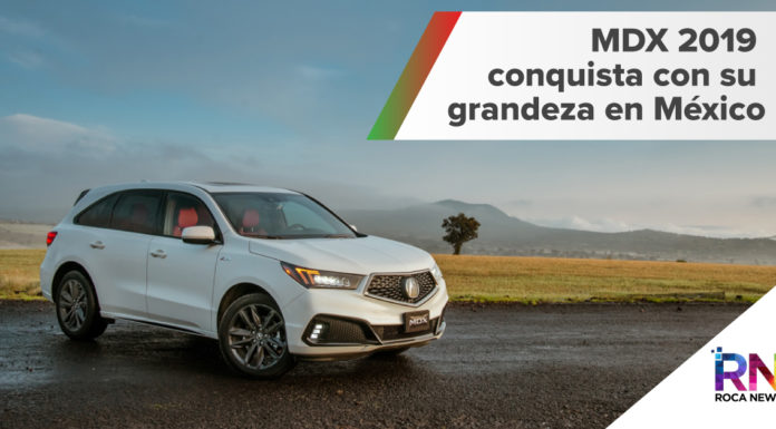 mdx 2019